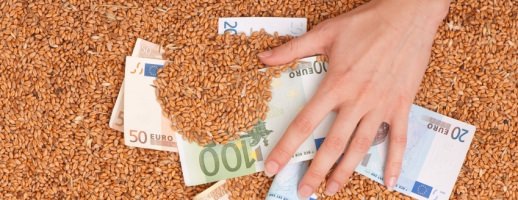 Hofschulden-und-Abfindungszahlungen-im-Hoeferecht