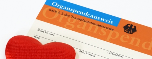Koerperspende