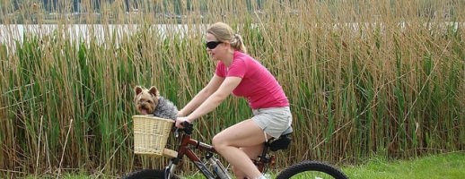 Krankengymnastik-nach-der-Kur-weiterfuehren