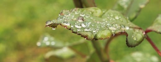 Streitigkeiten-ums-Erbe